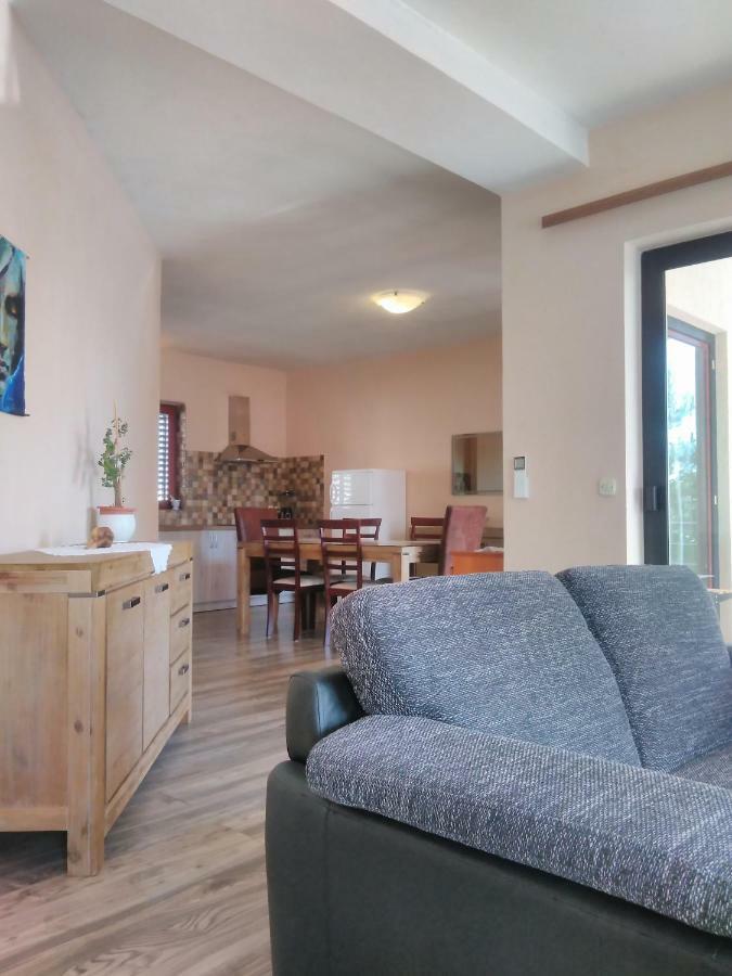 Apartament Vinka